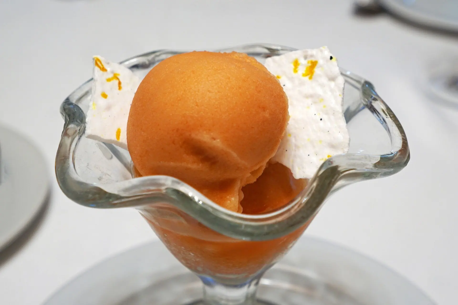 Sorbet à l'orange sanguine
