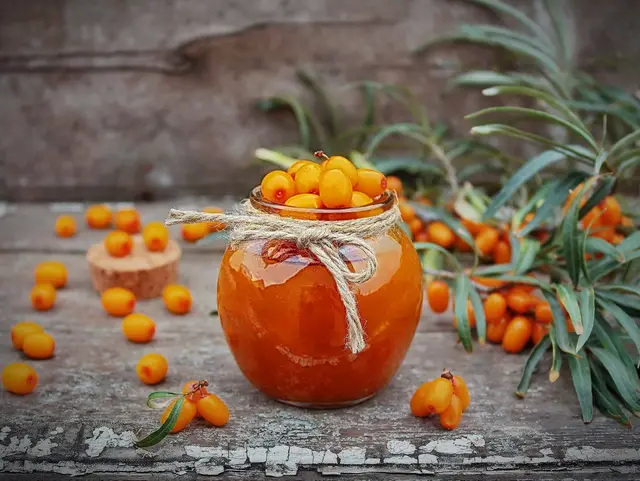 Recette de confiture d'argousier facile