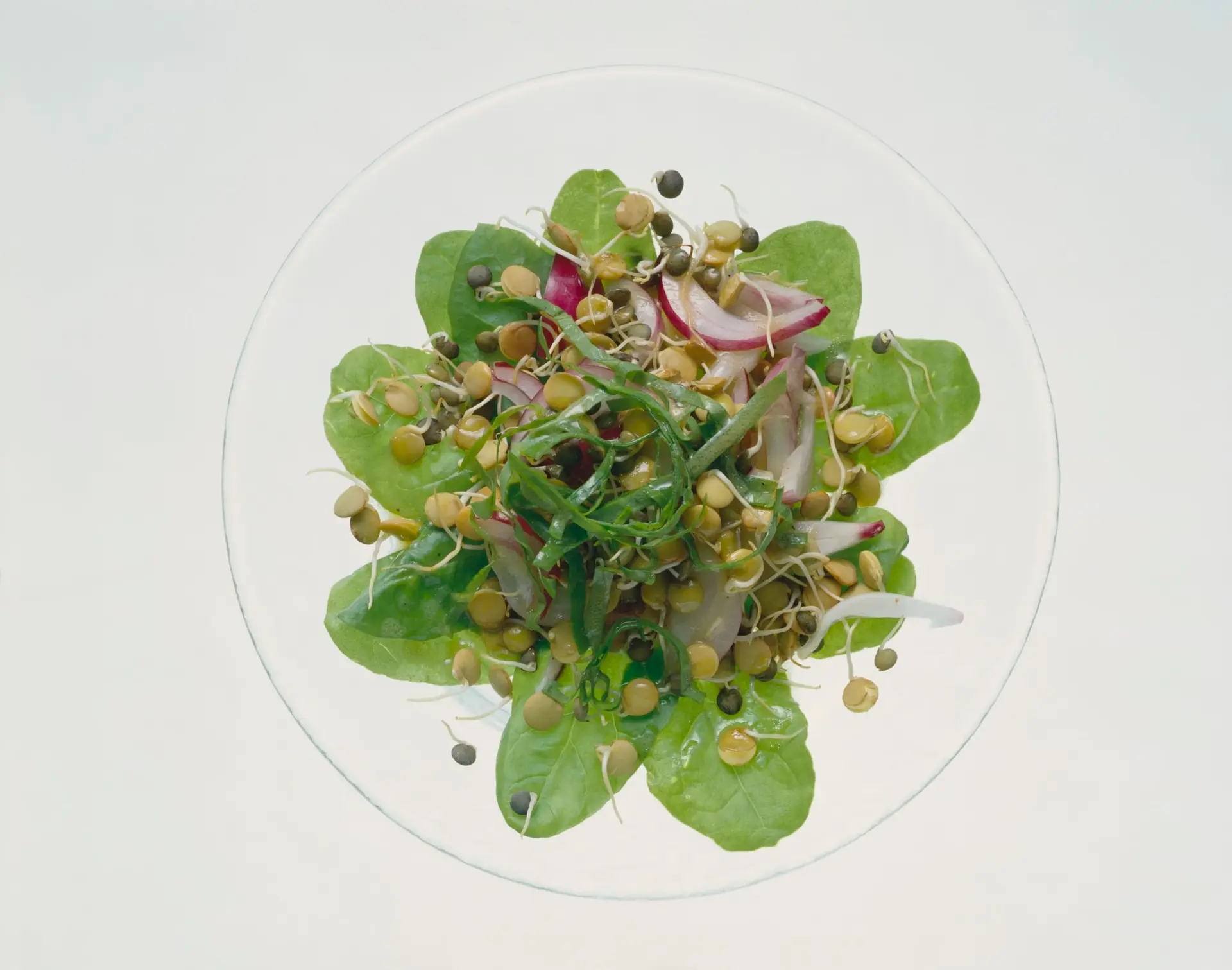 Salade de germes de lentilles aux oignons et petites feuilles d'épinards