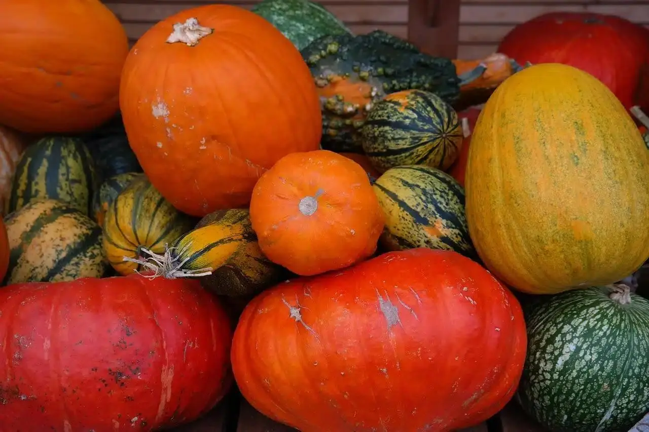 Guide complet des courges : variétés, astuces pour un épluchage rapide, cuisson et recettes