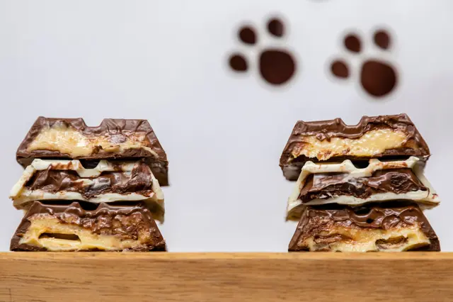 Barres de chocolat farcies décorées pour Pâques