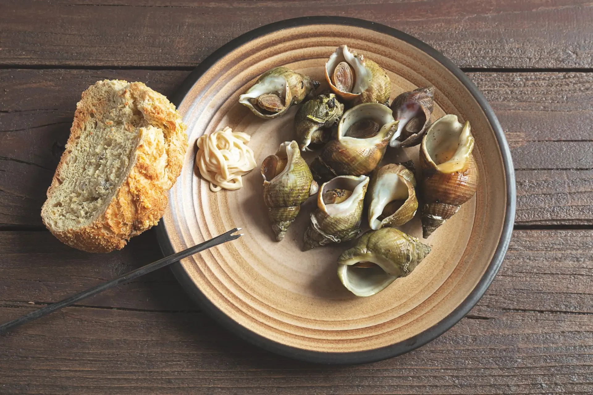 Bulots ou escargots de mer bouillis avec des herbes