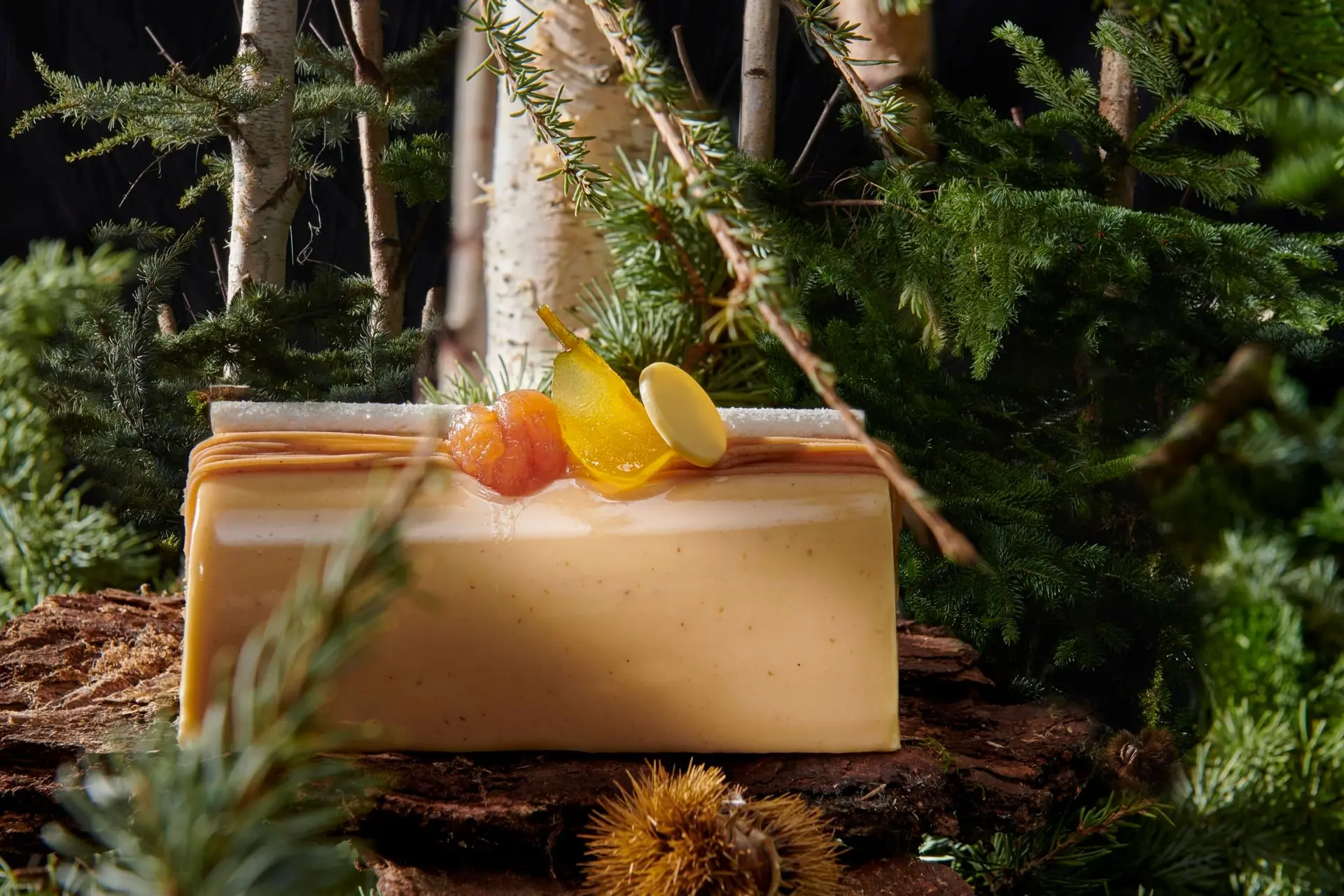 Bûche de Noël aux agrumes et chocolat blanc