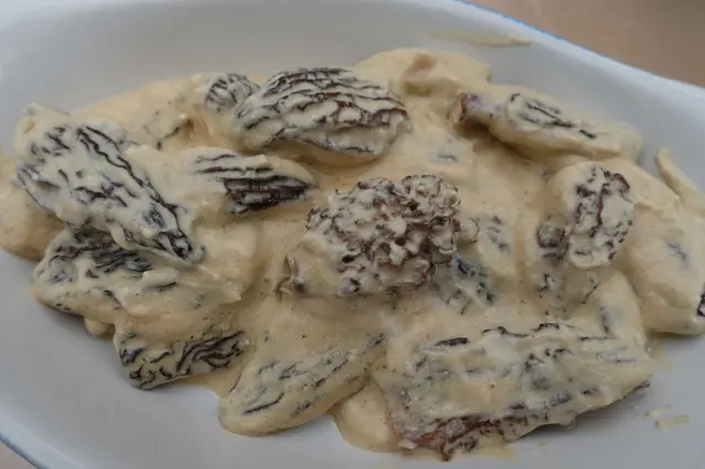 Recette sauce aux morilles facile