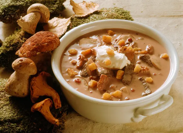 Soupe crémeuse de venaison (cerf) aux champignons