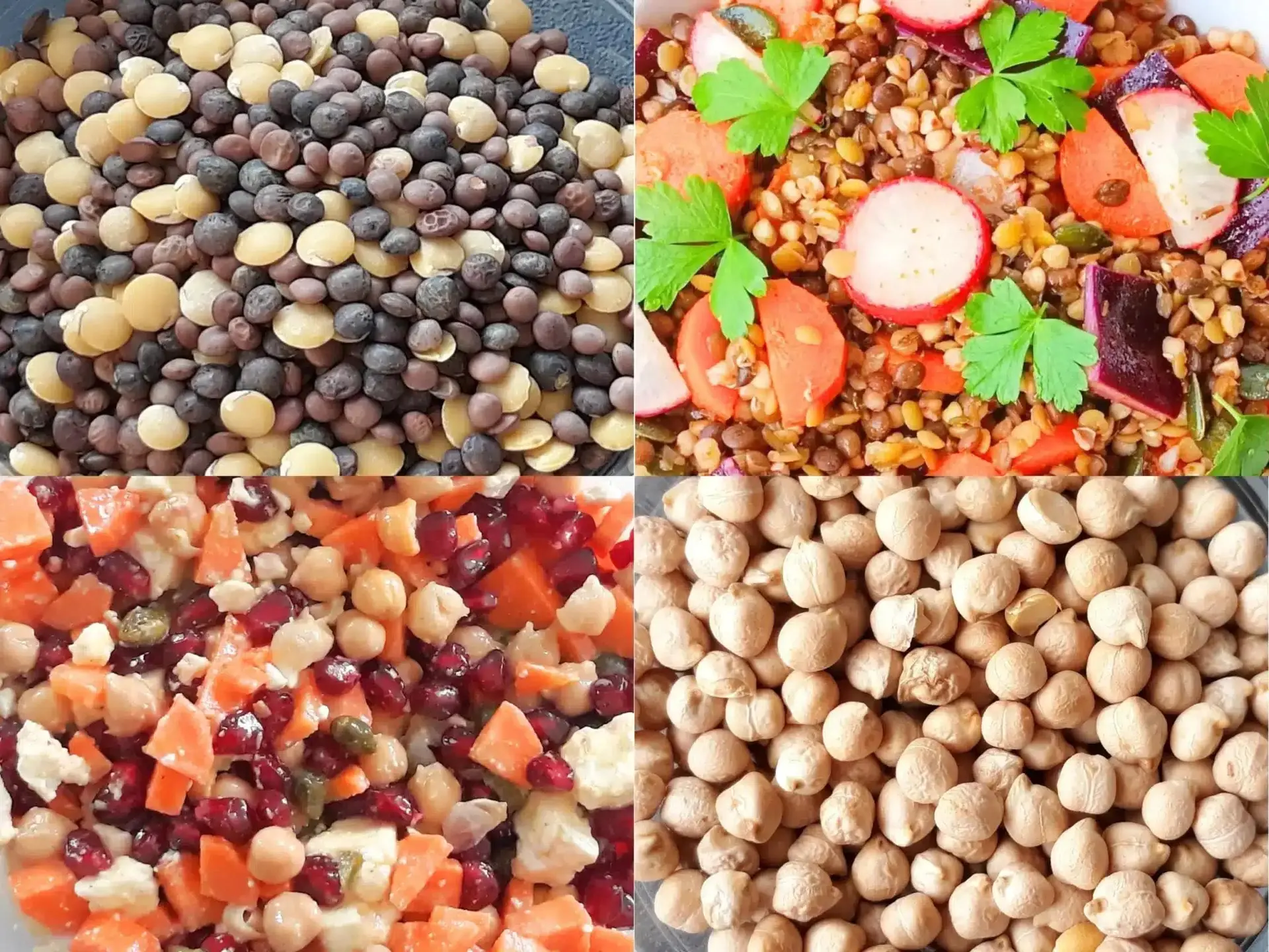 Préparer et cuisiner les légumineuses : nos astuces pour bien les faire tremper, les cuire et les intégrer dans des recettes