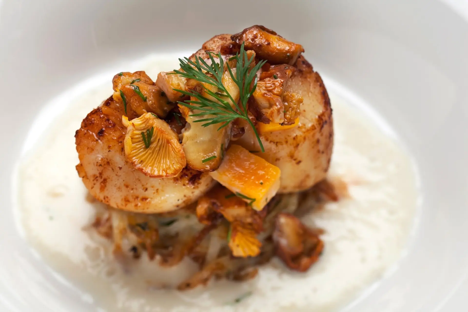 Recette saint jacques à la normande