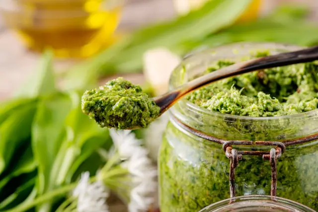 Pesto à l’ail des ours