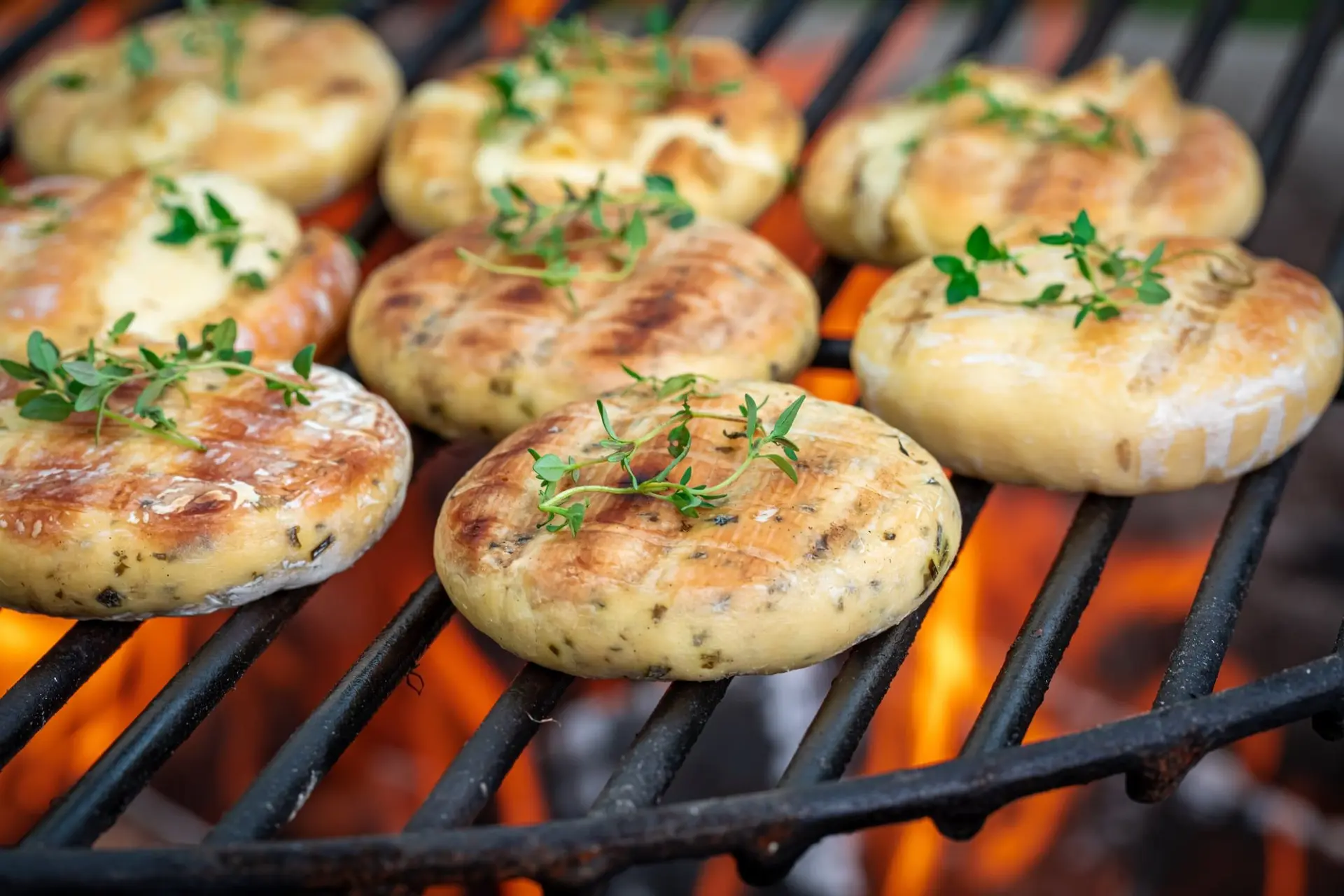 Fromage halloumi grillé au barbecue